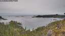 ./images/calvert/foggy-cove/20260517/foggy-cove20260517_173001M.jpg