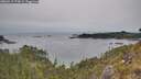 ./images/calvert/foggy-cove/20260517/foggy-cove20260517_174501M.jpg