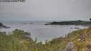 ./images/calvert/foggy-cove/20260517/foggy-cove20260517_181001M.jpg