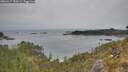 ./images/calvert/foggy-cove/20260517/foggy-cove20260517_182001M.jpg