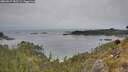 ./images/calvert/foggy-cove/20260517/foggy-cove20260517_182502M.jpg