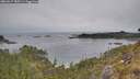 ./images/calvert/foggy-cove/20260517/foggy-cove20260517_183501M.jpg