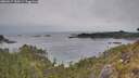./images/calvert/foggy-cove/20260517/foggy-cove20260517_184501M.jpg