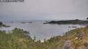 ./images/calvert/foggy-cove/20260517/foggy-cove20260517_191002M.jpg