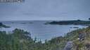 ./images/calvert/foggy-cove/20260517/foggy-cove20260517_212001M.jpg