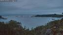 ./images/calvert/foggy-cove/20260518/foggy-cove20260518_051501M.jpg