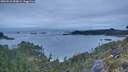 ./images/calvert/foggy-cove/20260518/foggy-cove20260518_054001M.jpg