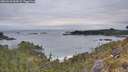./images/calvert/foggy-cove/20260518/foggy-cove20260518_064501M.jpg