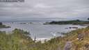 ./images/calvert/foggy-cove/20260518/foggy-cove20260518_073501M.jpg
