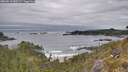 ./images/calvert/foggy-cove/20260518/foggy-cove20260518_080501M.jpg