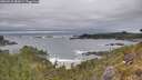 ./images/calvert/foggy-cove/20260518/foggy-cove20260518_082001M.jpg