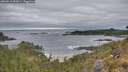 ./images/calvert/foggy-cove/20260518/foggy-cove20260518_083001M.jpg