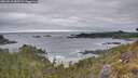 ./images/calvert/foggy-cove/20260518/foggy-cove20260518_083501M.jpg