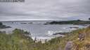 ./images/calvert/foggy-cove/20260518/foggy-cove20260518_084001M.jpg