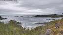 ./images/calvert/foggy-cove/20260518/foggy-cove20260518_085502M.jpg