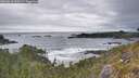 ./images/calvert/foggy-cove/20260518/foggy-cove20260518_090501M.jpg