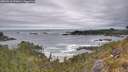 ./images/calvert/foggy-cove/20260518/foggy-cove20260518_091001M.jpg
