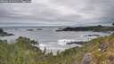 ./images/calvert/foggy-cove/20260518/foggy-cove20260518_091501M.jpg