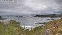 ./images/calvert/foggy-cove/20260518/foggy-cove20260518_092001M.jpg