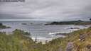 ./images/calvert/foggy-cove/20260518/foggy-cove20260518_093501M.jpg