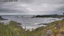 ./images/calvert/foggy-cove/20260518/foggy-cove20260518_094001M.jpg