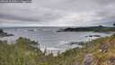 ./images/calvert/foggy-cove/20260518/foggy-cove20260518_094501M.jpg