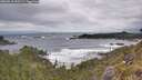 ./images/calvert/foggy-cove/20260518/foggy-cove20260518_095501M.jpg