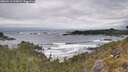./images/calvert/foggy-cove/20260518/foggy-cove20260518_100002M.jpg
