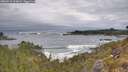 ./images/calvert/foggy-cove/20260518/foggy-cove20260518_103001M.jpg