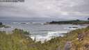 ./images/calvert/foggy-cove/20260518/foggy-cove20260518_103501M.jpg