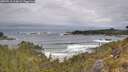 ./images/calvert/foggy-cove/20260518/foggy-cove20260518_104002M.jpg