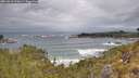 ./images/calvert/foggy-cove/20260518/foggy-cove20260518_110002M.jpg