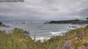 ./images/calvert/foggy-cove/20260518/foggy-cove20260518_110502M.jpg