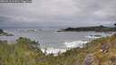 ./images/calvert/foggy-cove/20260518/foggy-cove20260518_111001M.jpg