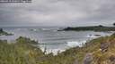 ./images/calvert/foggy-cove/20260518/foggy-cove20260518_112001M.jpg
