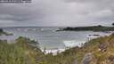 ./images/calvert/foggy-cove/20260518/foggy-cove20260518_112501M.jpg