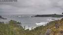 ./images/calvert/foggy-cove/20260518/foggy-cove20260518_113501M.jpg