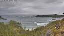 ./images/calvert/foggy-cove/20260518/foggy-cove20260518_114002M.jpg