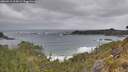 ./images/calvert/foggy-cove/20260518/foggy-cove20260518_114501M.jpg