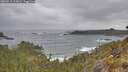 ./images/calvert/foggy-cove/20260518/foggy-cove20260518_115001M.jpg