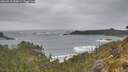 ./images/calvert/foggy-cove/20260518/foggy-cove20260518_120001M.jpg