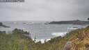 ./images/calvert/foggy-cove/20260518/foggy-cove20260518_121001M.jpg