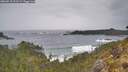 ./images/calvert/foggy-cove/20260518/foggy-cove20260518_121501M.jpg