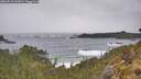 ./images/calvert/foggy-cove/20260518/foggy-cove20260518_122001M.jpg