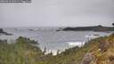 ./images/calvert/foggy-cove/20260518/foggy-cove20260518_122501M.jpg