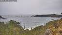 ./images/calvert/foggy-cove/20260518/foggy-cove20260518_123002M.jpg