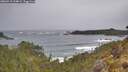 ./images/calvert/foggy-cove/20260518/foggy-cove20260518_124001M.jpg