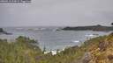 ./images/calvert/foggy-cove/20260518/foggy-cove20260518_124501M.jpg