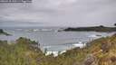 ./images/calvert/foggy-cove/20260518/foggy-cove20260518_130501M.jpg