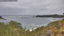 ./images/calvert/foggy-cove/20260518/foggy-cove20260518_131501M.jpg
